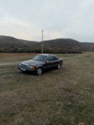 фары на опель вектра б: Mercedes-Benz W124: 1991 г., 2.3 л, Механика, Бензин, Седан — 9