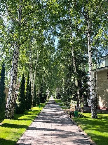 московская фучика: Продаю квартиру в ЦО Радуга (с. Сары-Ой, ИК), в секторе Альфа. 55 — 8