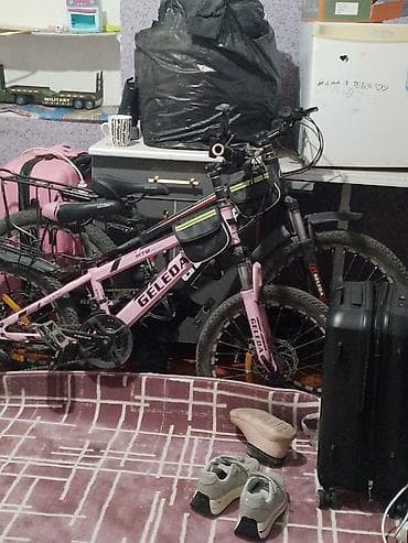 bew e34: Горный велосипед, Geleda, Сталь — 1