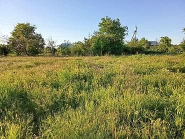 жер участак: 10 соток, Для сельского хозяйства, Договор купли-продажи — 2