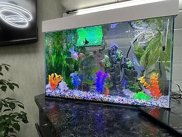 сколько стоит аквариум с рыбками: Аквариум комплект - Стеклянный аквариум прямоугольной формы с верхней — 1
