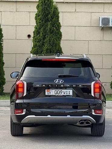рейл: Hyundai Palisade: 2022 г., 2.2 л, Автомат, Дизель, Кроссовер — 8