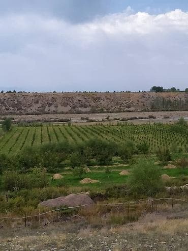 Питомник растений, 300 соток, Действующий, Без оборудования, Холодная вода