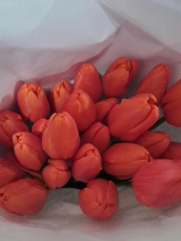 бахрома: Тюльпаны в букетах - Разные оттенки и сорта: классические гладкие — 2