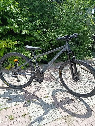 speedone frame: Горный велосипед, Рама XL (180 - 195 см), Сталь, Новый — 2