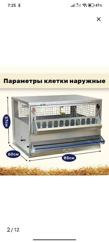 токмок кошка: Клетка для кур-несушек «Профессионал» (1 ярус, до 10 голов) — 5
