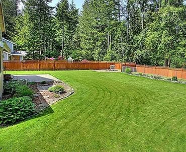 грин: Предлагаем услуги по ландшафтному благоустройству: 🔹посад деревьев и — 4