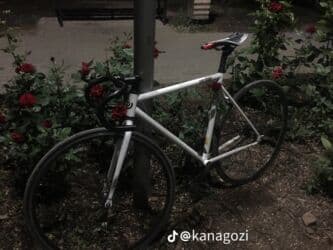 велосипеды фикси: Шоссе велосипеди, Велосипед алкагы M (156 - 178 см), Колдонулган — 2