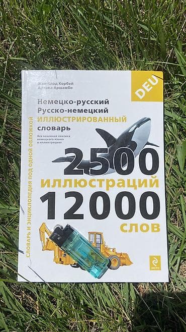 Немецко-русский / русско-немецкий иллюстрированный словарь В новом