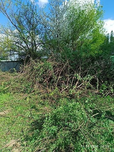 пл: Дрова Самовывоз — 1