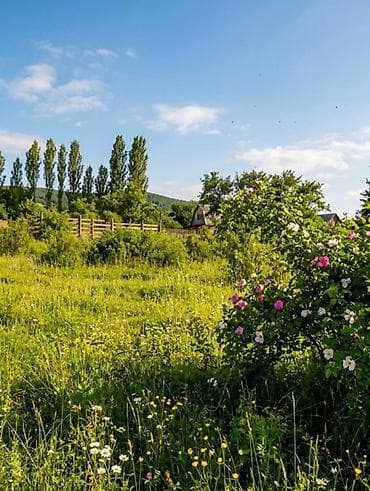 застройщики бишкек: 10 соток, Для строительства, Красная книга — 4