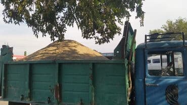 дом на колесах цена бишкек: Самосвал, Доставка щебня, угля, песка, чернозема, отсев, По городу, с грузчиком — 2