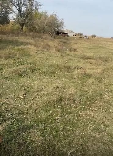 4 соток at lalafo.kg 4 соток