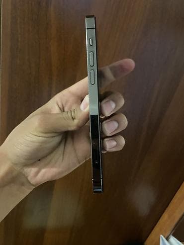 ne net: IPhone 13 Pro, Графит — 6