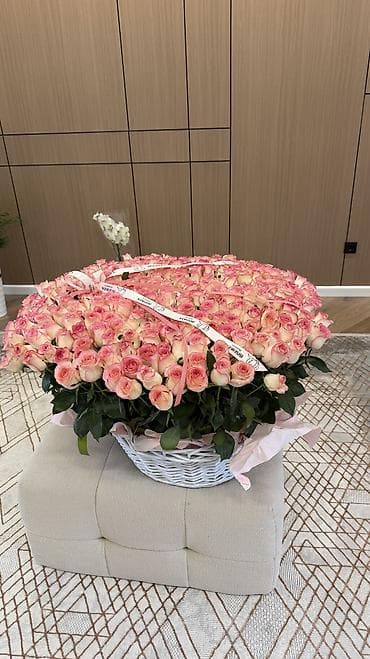 голандские розы: 219 роз — крупный монобукет - Количество: 219 шт. - Сорт/окраска — 2