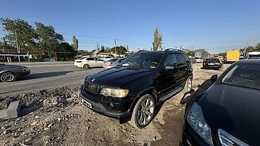 BMW X5: 2003 г., 4.6 л, Автомат, Газ, Кроссовер