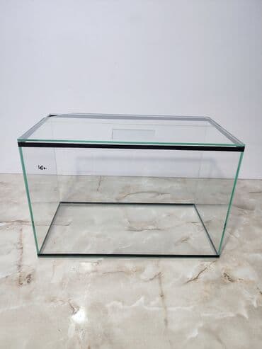 аквариумная рыбка: Прямоугольные — 9