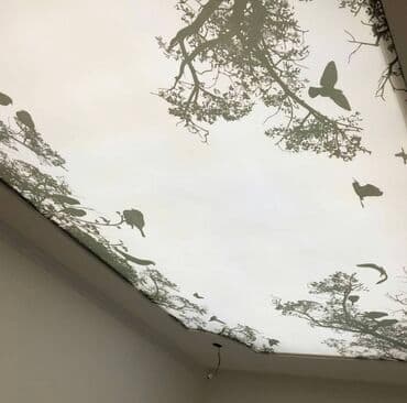 стоимость натяжных потолков: Натяжной потолок Глянцевое, Матовое, 3D потолки Гарантия, Бесплатная консультация, Бесплатный замер — 7