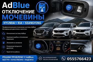 ej de: Профессиональное отключение системы AdBlue (мочевины) для дизельных — 1