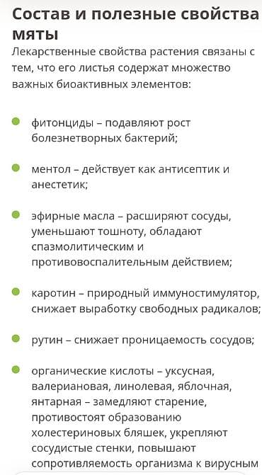 мята: Продаю мяту . Веточка мяты 5 сом . Доставка по городу 100 сом — 2