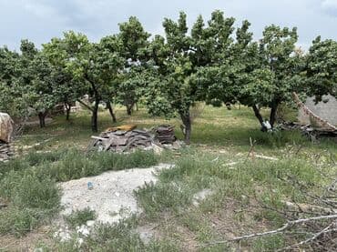 продаётся дом келечек бишкек: 8 соток, Для строительства, Красная книга — 5