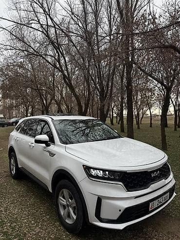 kia rey: Kia Sorento: 2020 г., 2.5 л, Бензин, Кроссовер — 4