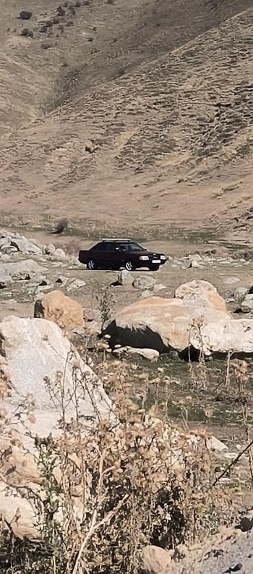 kia moning: Audi 100: 1989 г., 1.8 л, Механика, Бензин, Седан — 3