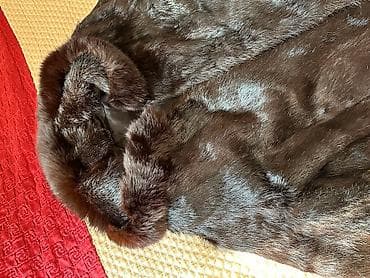 шуба нутрия женская: Шуба, Нутрия, Длинная модель, 6XL, 4XL, 5XL — 3