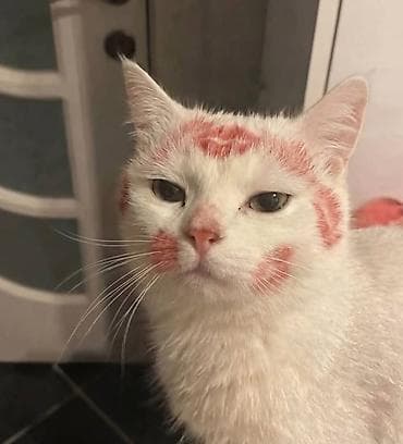 4 месяца, Мальчик