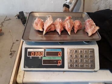 кошка домик: Продаю куриные бройлерные головы и лапки!!!Находится Беловодске — 3