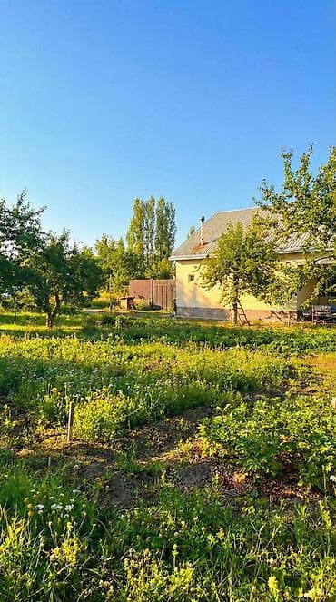 один комната есть продает дом: 🏡🔥 ДАЧА У РЕКИ | АРАШАН 🌊⛰️ 📍 Закрытый кооператив “Предгорный” ✅ — 5