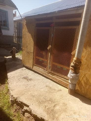 яйцо на инкубацию купить: Утеплённый уличный вольер/курятник из фанеры и ОСБ - Конструкция — 4