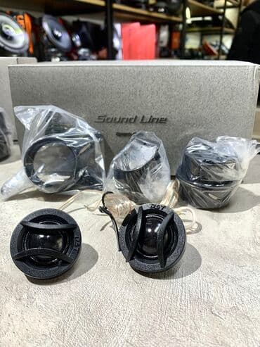 машны: Универсальные твиттеры с шёлковым куполом фирмы Dinamic State Модель — 5