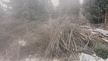 скупаю дрова: Дрова Самовывоз — 1