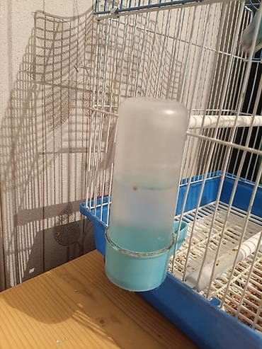 Балыктар: Клетка для волнистых попугаев - Металл/пластик, цвет: белая решётка — 2