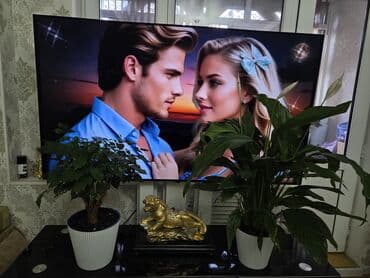 водоросли для аквариума купить: Комнатные растения в горшках: - Каланхоэ, бегония тигровая — 30