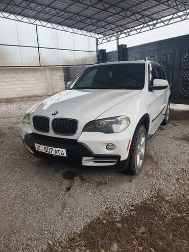 BMW X5: 2009 г., 3 л, Автомат, Бензин, Кроссовер