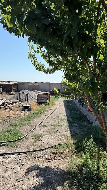 кирг шёлк: 31 соток, Бизнес үчүн, Кызыл китеп, Техпаспорт — 7