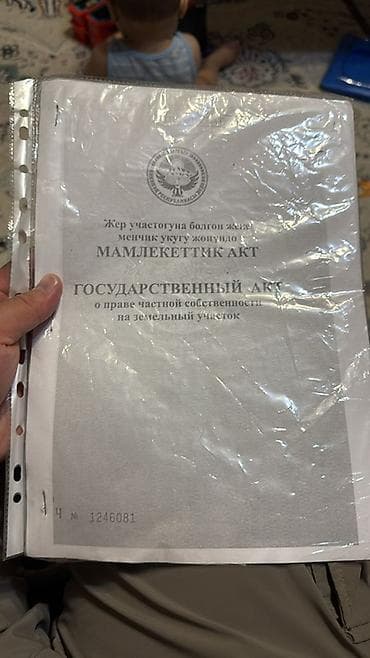 гостиница ошский рынок: 1800 соток, Для бизнеса, Красная книга — 1