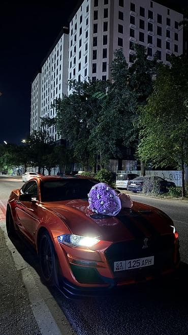 лиса на колесах: Ford Mustang: 2017 г., Купе — 5
