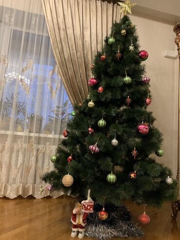сколько стоит новогодняя елка: Продаю елочку с игрушками как есть на фото, . Высота елки 250 метр — 2