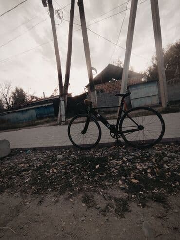 фикс рама: Шаардык велосипед, Велосипед алкагы S (145 - 165 см), Колдонулган — 6