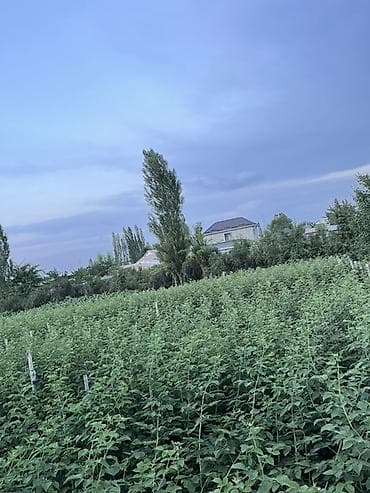 дача горняк: 14 соток, Для сельского хозяйства, Договор купли-продажи — 4