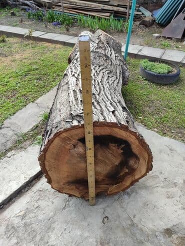 ДСП: Продаю 2 ствола ореха длина 2,40 и 210; диаметр 0,60. цена — 5