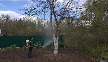 Дезинфекция, дезинсекция at lalafo.kg Дезинфекция, дезинсекция