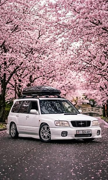 субару форестер 2006: Subaru Forester: 2001 г., 2 л, Автомат, Бензин, Универсал — 1