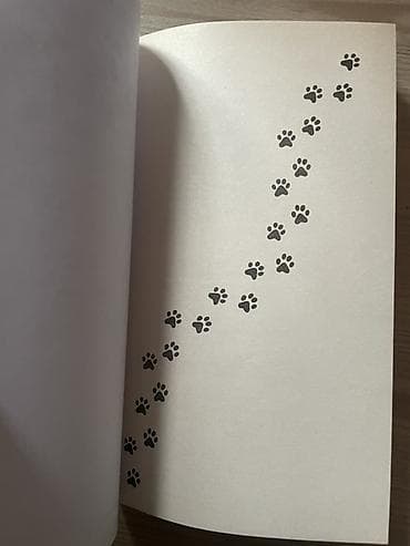 Велосипеды: На русском языке — 2