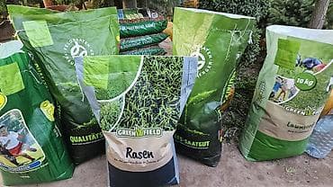 вечный спичка: Газонные семена и почвосмеси для газона - Марки: Green Field — 2