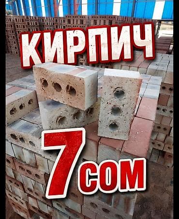 Пустотелый, дырчатый, Жженый кирпич, Полублок, 250×120×90