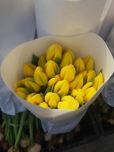 Гүлдөр жана букеттер: Букет тюльпанов «Солнечный». - Свежесрезанные жёлтые тюльпаны с — 1